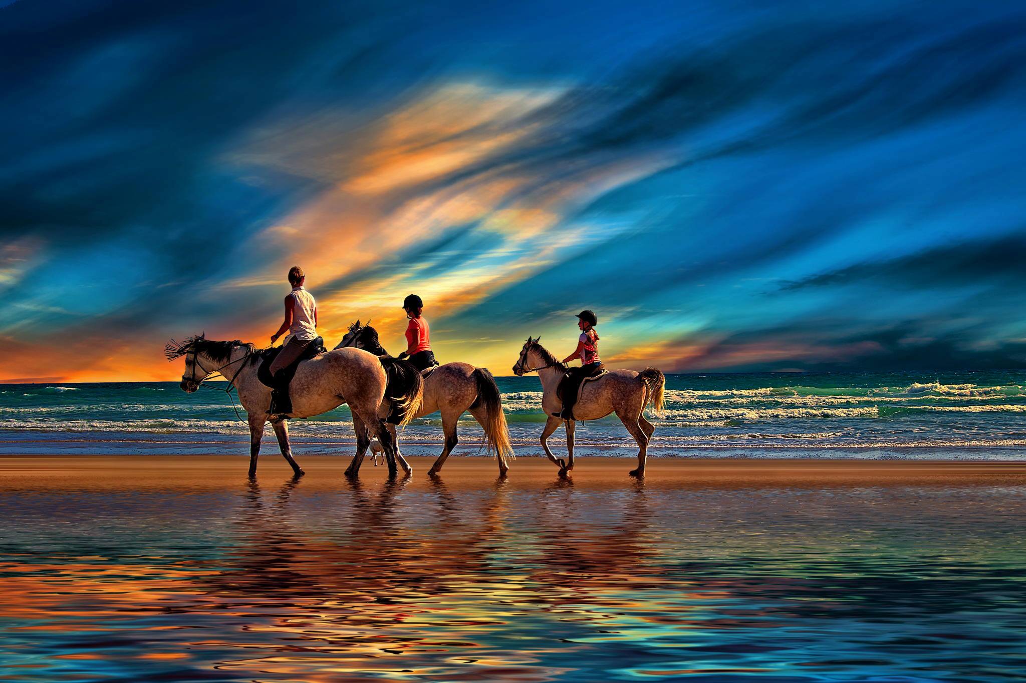 Ride the chariot. Лошадь бежит. Лошади на закате. Лошади на закате на берегу моря. Красивые пейзажи с лошадьми.