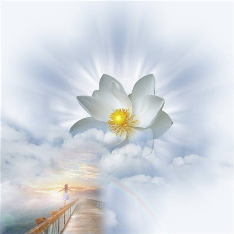 Свет надежды в душе. Божественный цветок. Небесные цветы. Лотос на фоне неба. Красивый божественный цветок.